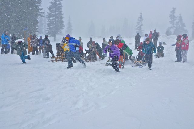Klondike_Derby_sledge_race_picture-51